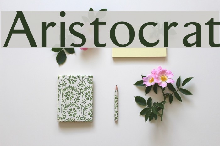 Aristocrat Font examples