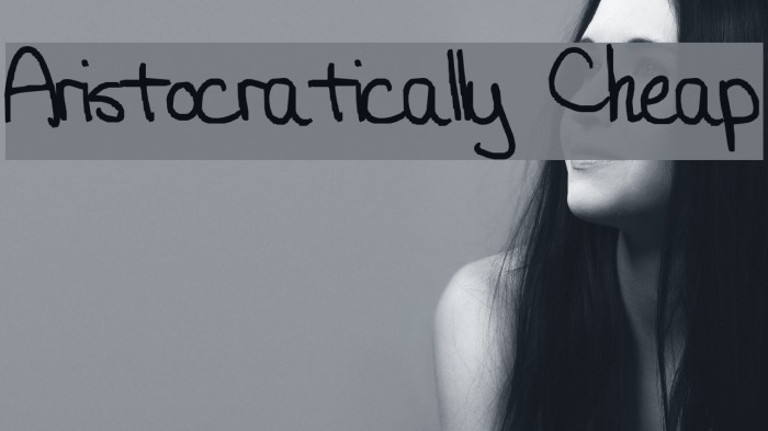 Aristocratically Cheap Font examples