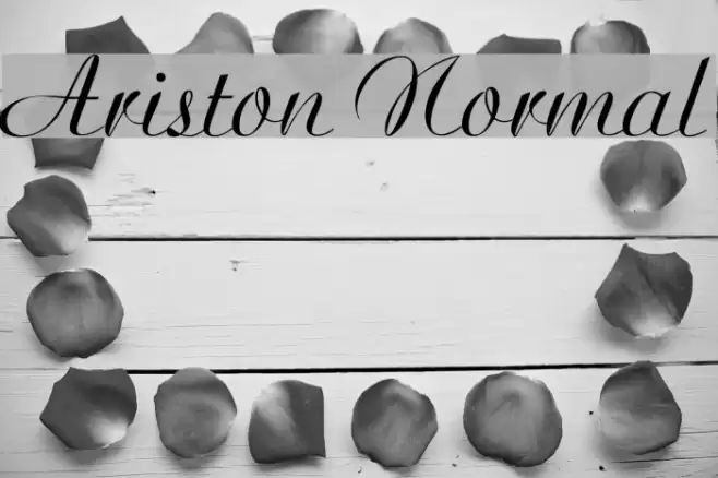 Ariston Normal Font examples