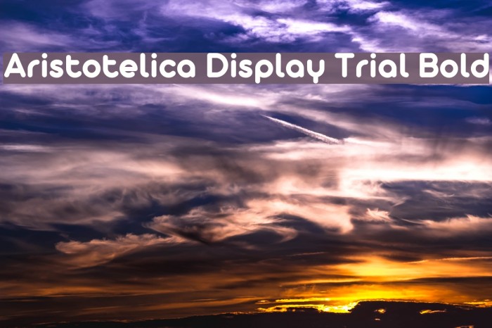 Aristotelica Display Trial Bold Font examples