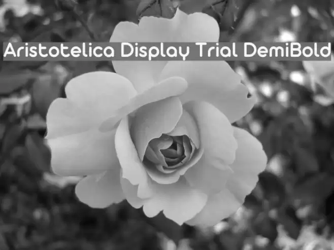 Aristotelica Display Trial DemiBold Font examples