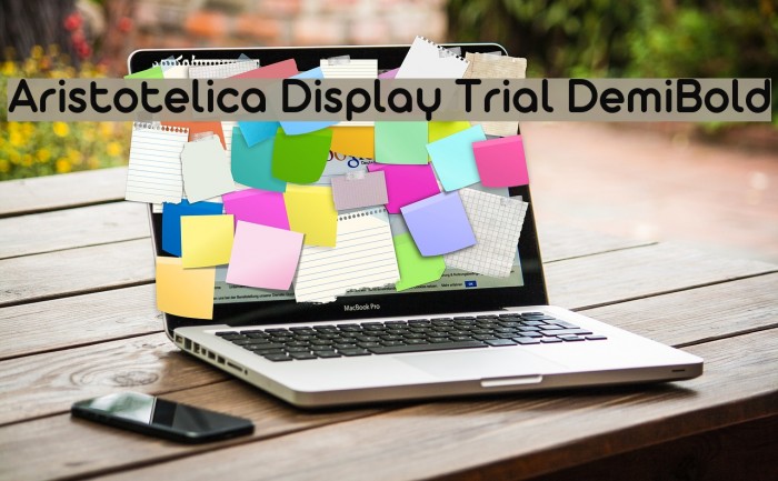 Aristotelica Display Trial DemiBold Schriftart examples