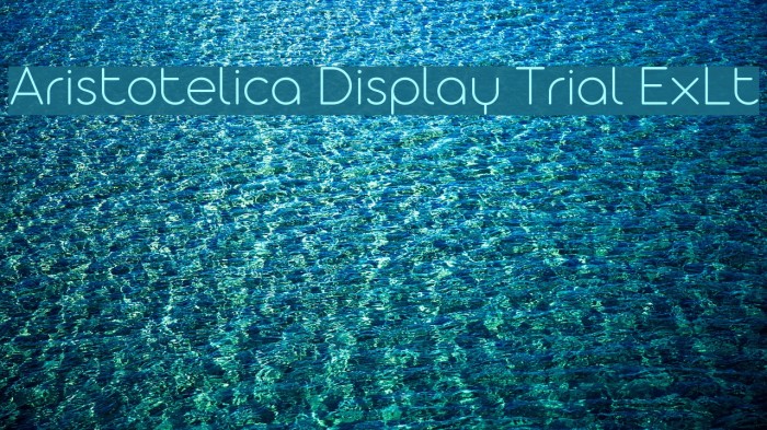 Aristotelica Display Trial ExLt Font examples