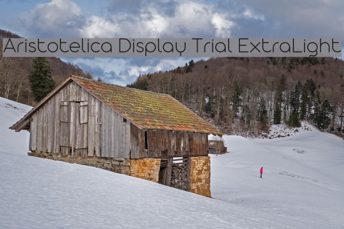 Aristotelica Display Trial ExtraLight Font examples