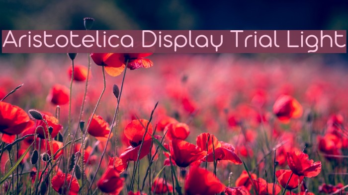Aristotelica Display Trial Light Font examples