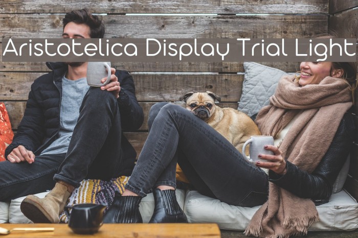 Aristotelica Display Trial Light Font examples
