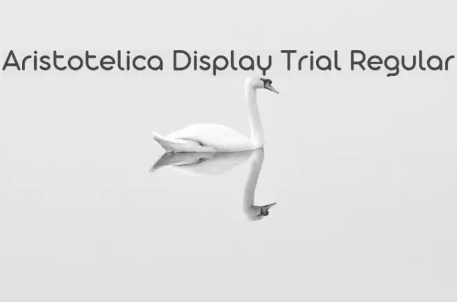Aristotelica Display Trial Regular Font examples