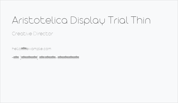 Aristotelica Display Trial Thin Business Card