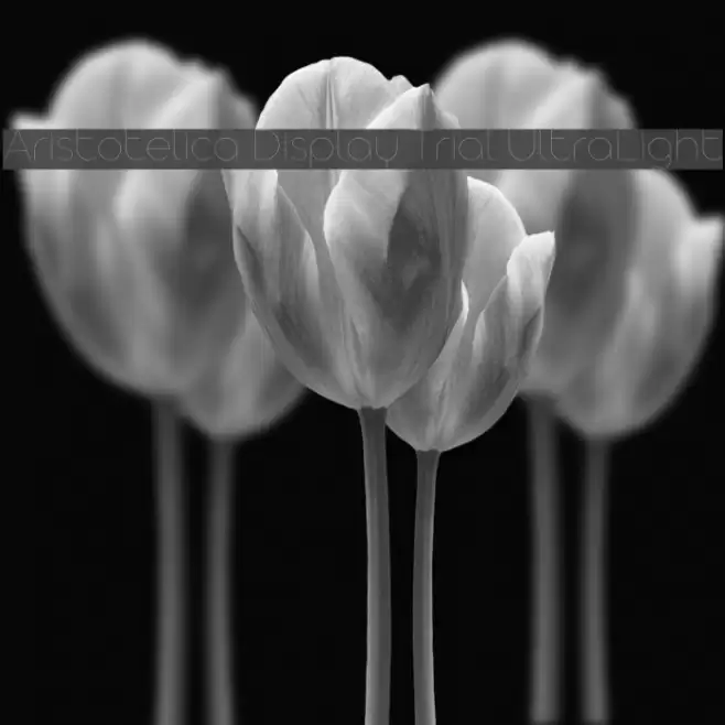 Aristotelica Display Trial UltraLight Font examples