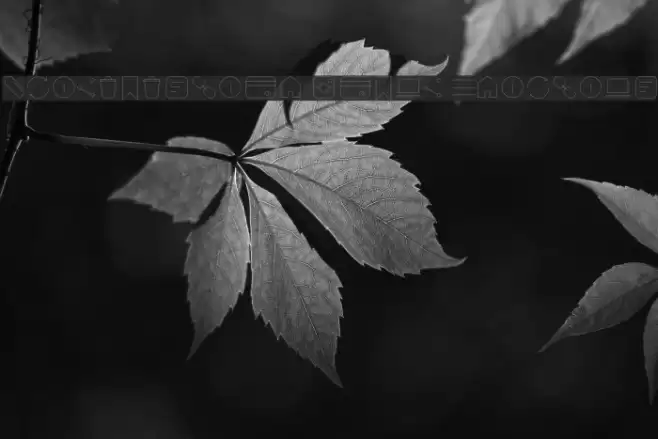 Aristotelica Icons Hairline Font examples