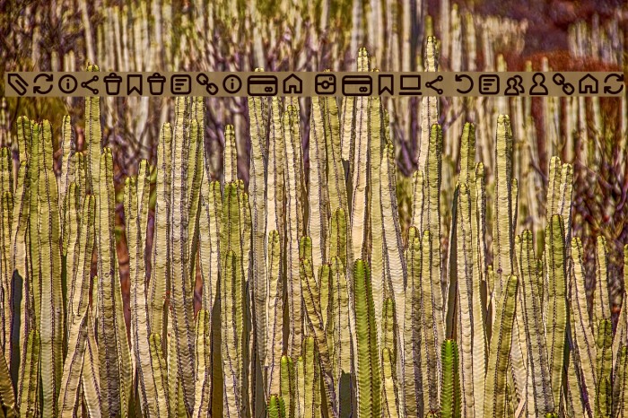 Aristotelica Icons Regular Example 2