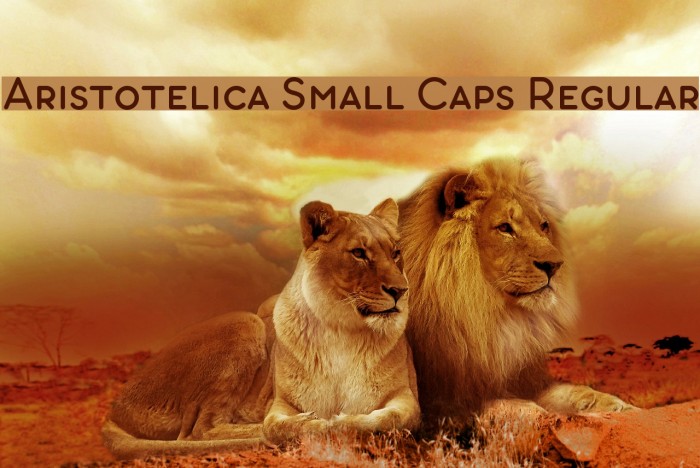 Aristotelica Small Caps Regular Font examples
