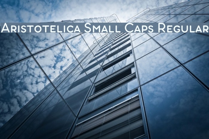 Aristotelica Small Caps Regular Font examples