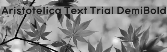 Aristotelica Text Trial DemiBold Font examples