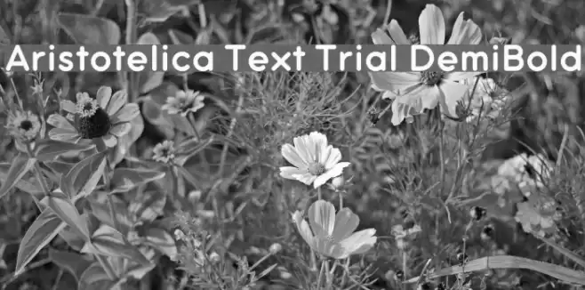 Aristotelica Text Trial DemiBold Font examples