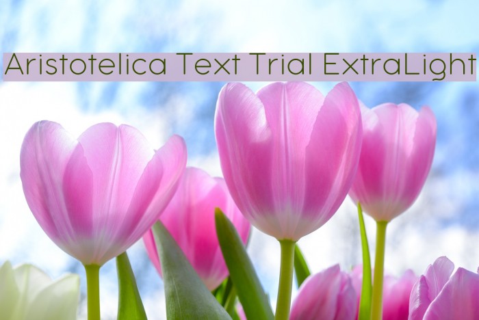 Aristotelica Text Trial ExtraLight Example 1