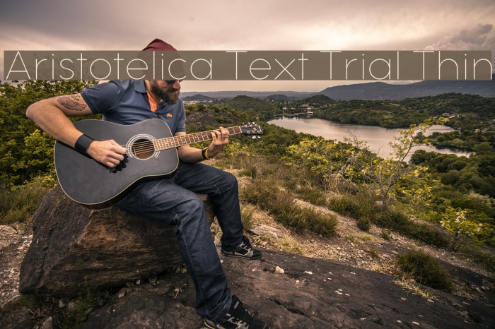Aristotelica Text Trial Thin Font examples