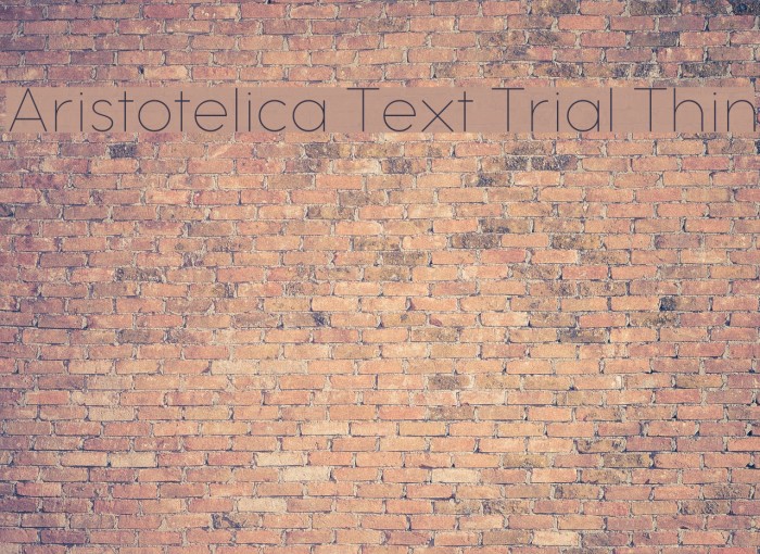 Aristotelica Text Trial Thin Font examples