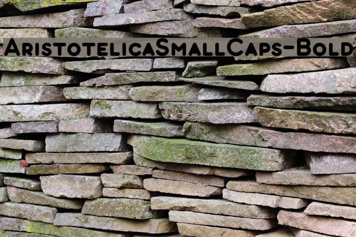 AristotelicaSmallCaps-Bold Font examples