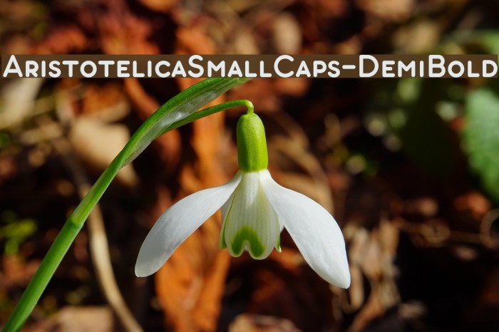 AristotelicaSmallCaps-DemiBold Schriftart examples