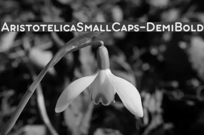 AristotelicaSmallCaps-DemiBold Font examples
