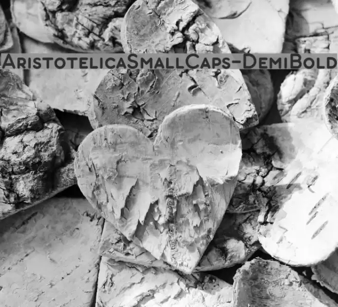 AristotelicaSmallCaps-DemiBold Font examples