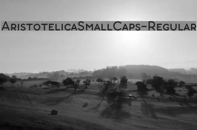 AristotelicaSmallCaps-Regular Font examples