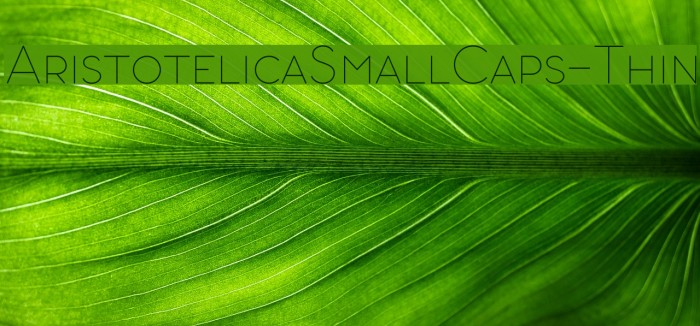 AristotelicaSmallCaps-Thin Example 1