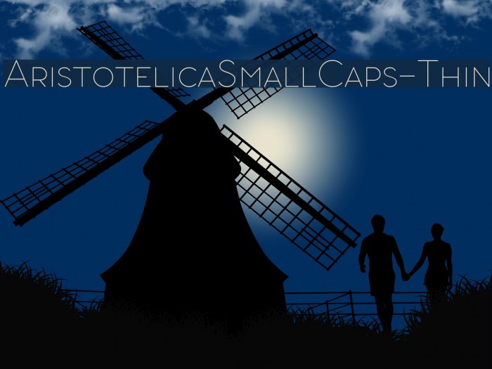 AristotelicaSmallCaps-Thin Example 2