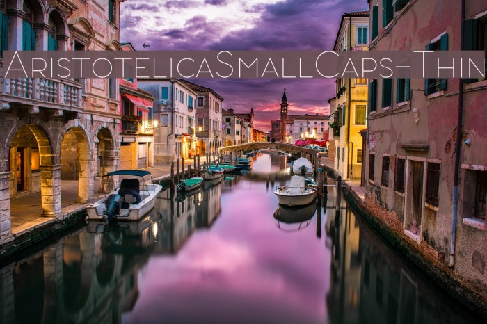 AristotelicaSmallCaps-Thin Example 3