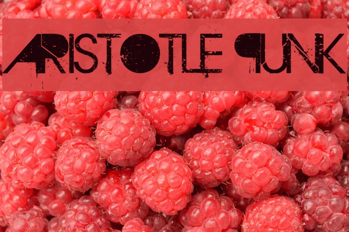Aristotle Punk Font examples