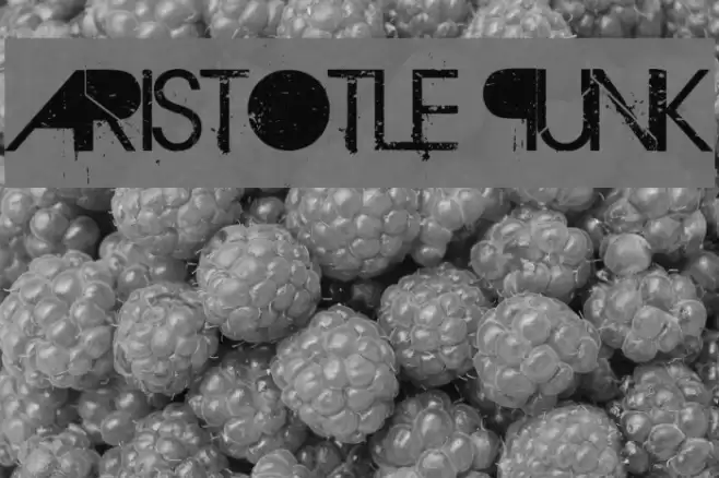 Aristotle Punk フォント examples