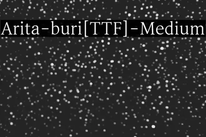 Arita-buri[TTF]-Medium Example 1