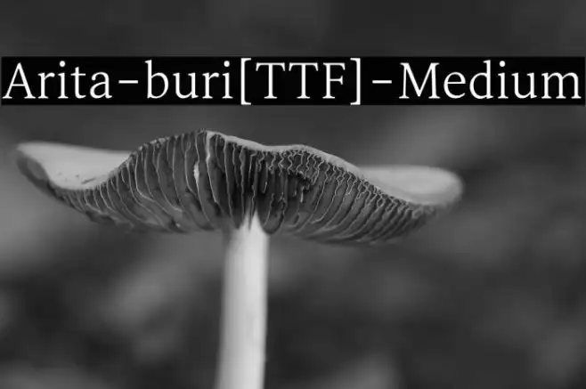 Arita-buri[TTF]-Medium Example 3