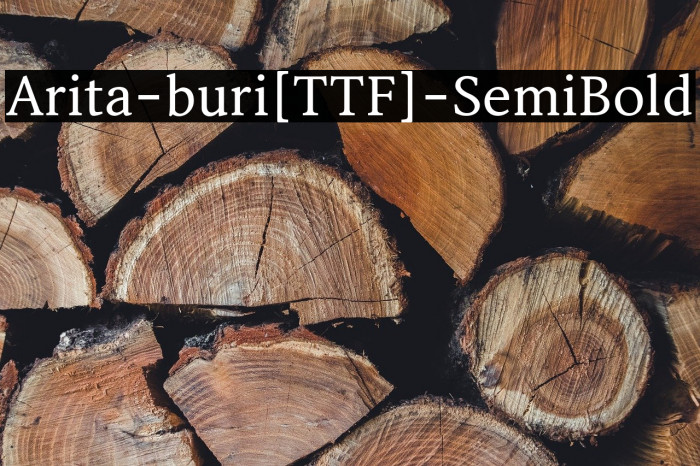 Arita-buri[TTF]-SemiBold Example 3