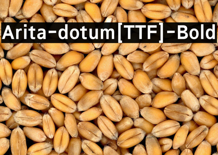 Arita-dotum[TTF]-Bold Example 2