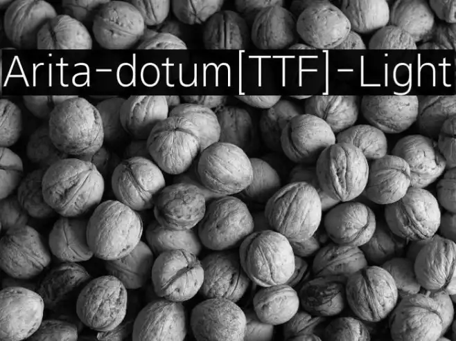 Arita-dotum[TTF]-Light Example 1