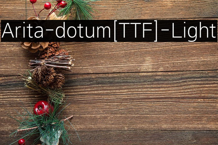 Arita-dotum[TTF]-Light Example 2