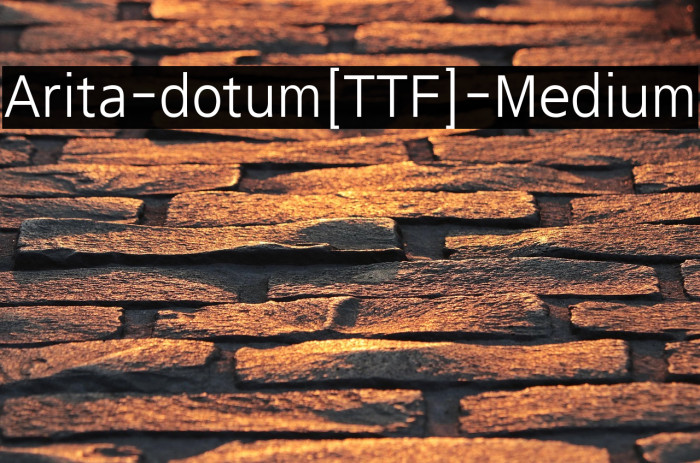 Arita-dotum[TTF]-Medium Example 2