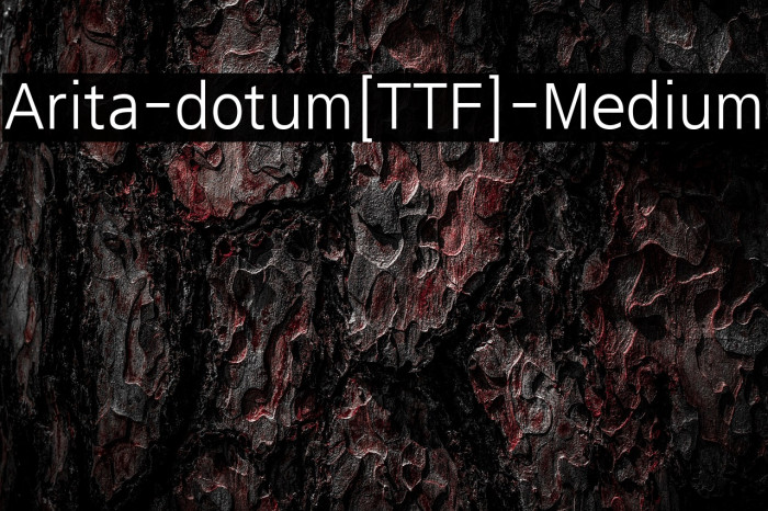 Arita-dotum[TTF]-Medium Example 3