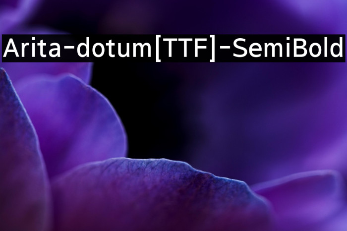 Arita-dotum[TTF]-SemiBold Example 2