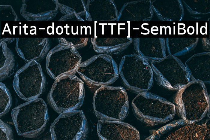 Arita-dotum[TTF]-SemiBold Example 3