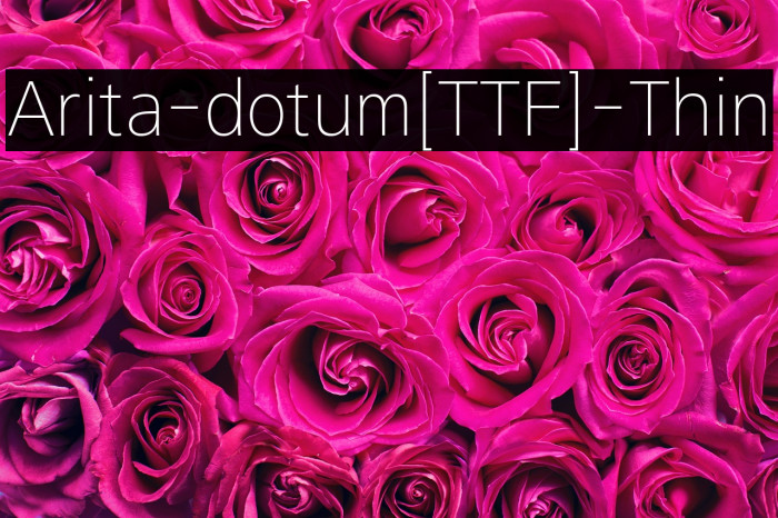 Arita-dotum[TTF]-Thin Example 1