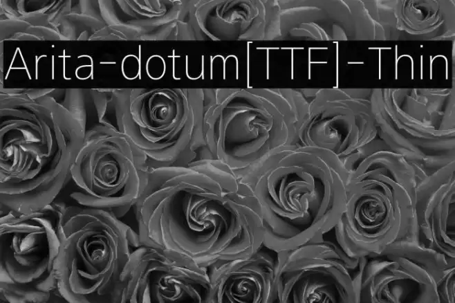 Arita-dotum[TTF]-Thin Example 1
