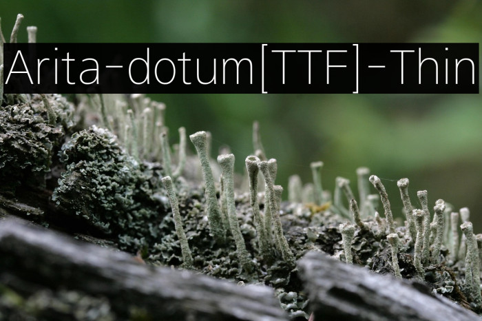 Arita-dotum[TTF]-Thin Example 2