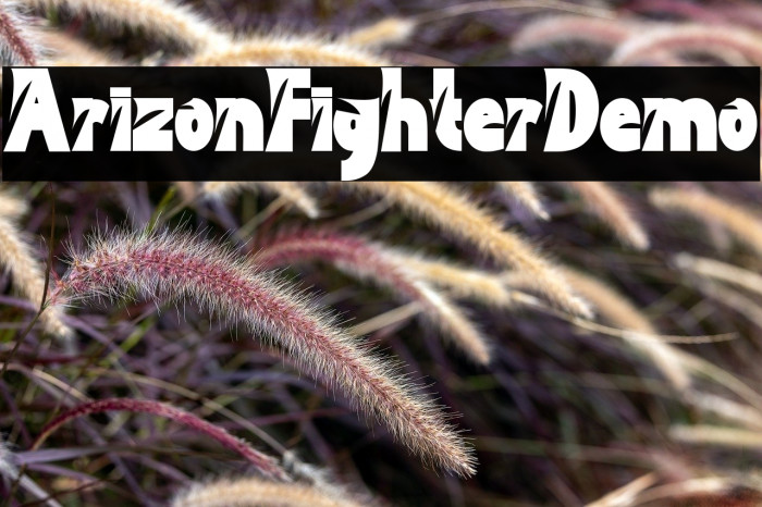 Arizon Fighter Demo Example 1