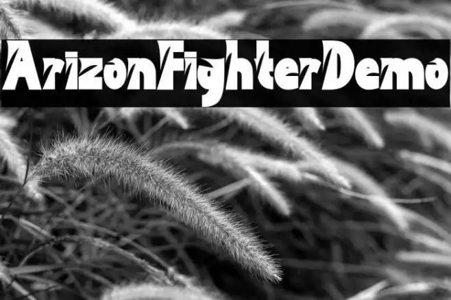 Arizon Fighter Demo Example 1