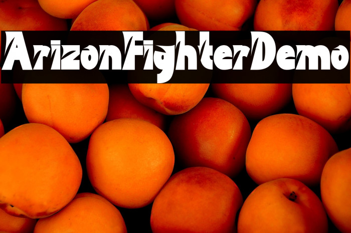 Arizon Fighter Demo Example 2