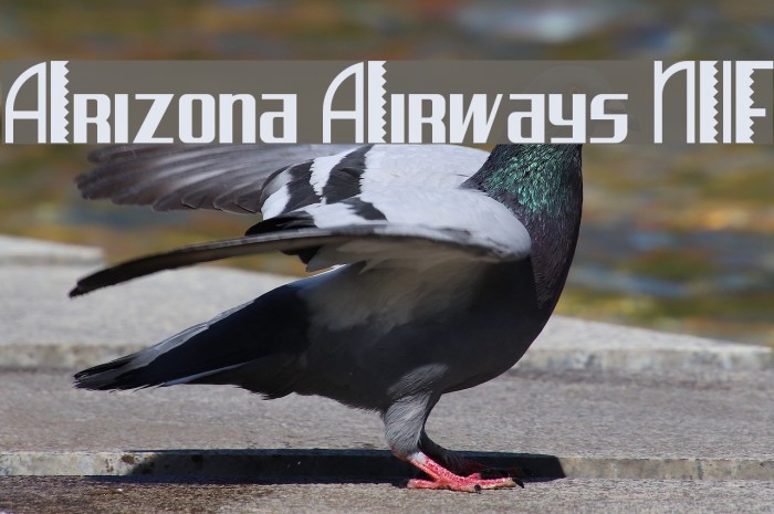 Arizona Airways NF Font examples