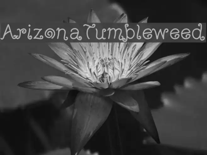 ArizonaTumbleweed Example 1